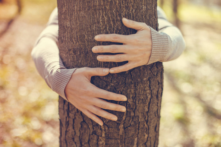 woman hugging a tree trunk